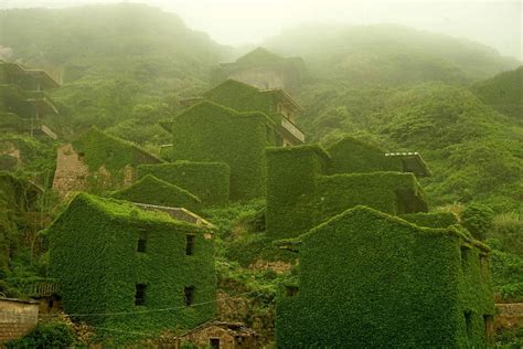   Le Parc National de Shengsi : Une Oasis Verte et un Terrain de Jeu pour les Espèces Migratrices !