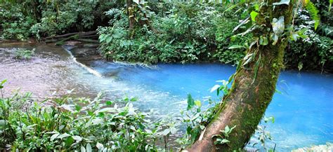 Le Temple de la Rivière Céleste : Une perle spirituelle nichée dans la verdure Shangraoise !